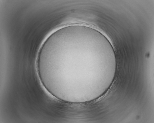 X0000116451531201001191542