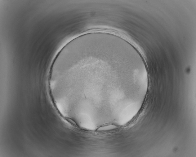 X0000116451533201001191542