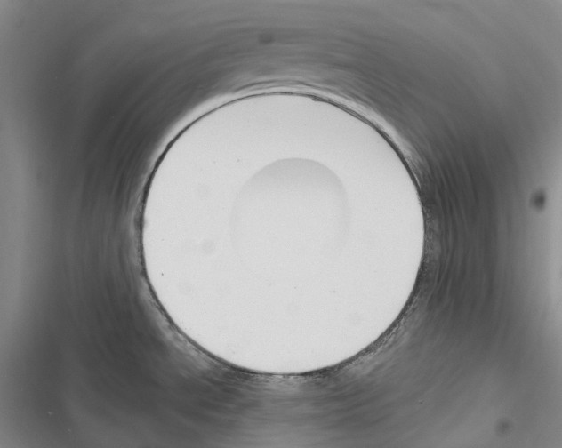 X0000116451534201001191542