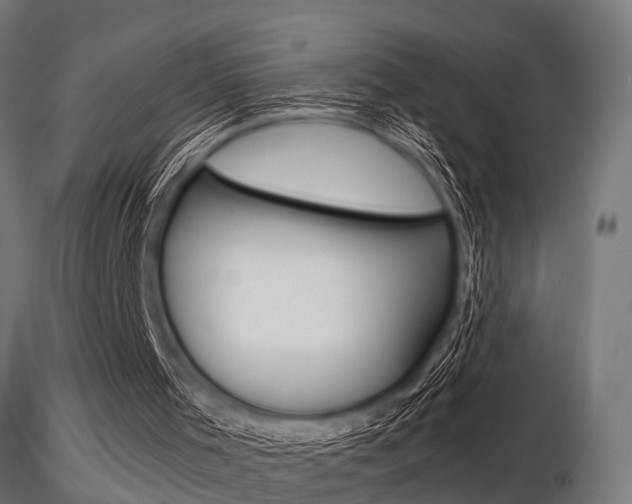 X0000116460001200912090938