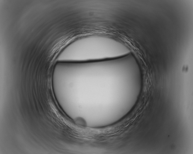 X0000116460002200912090938