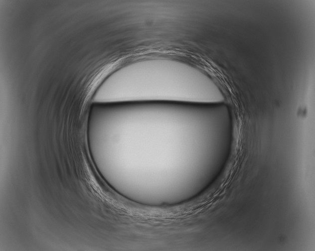 X0000116460003200912090938