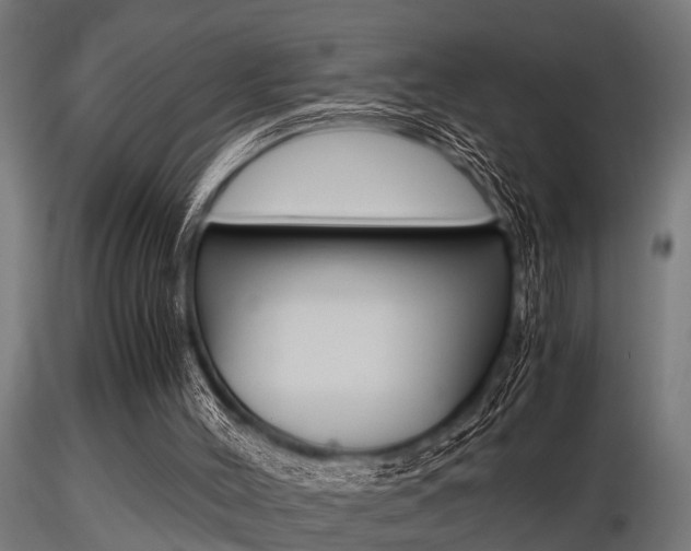 X0000116460004200912090938