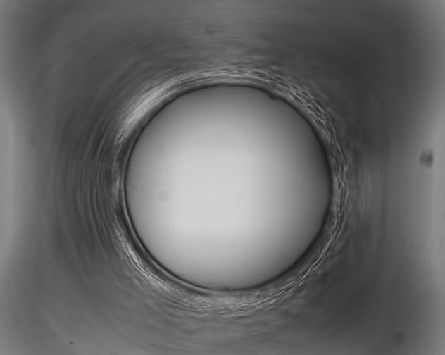 X0000116460005200912090938