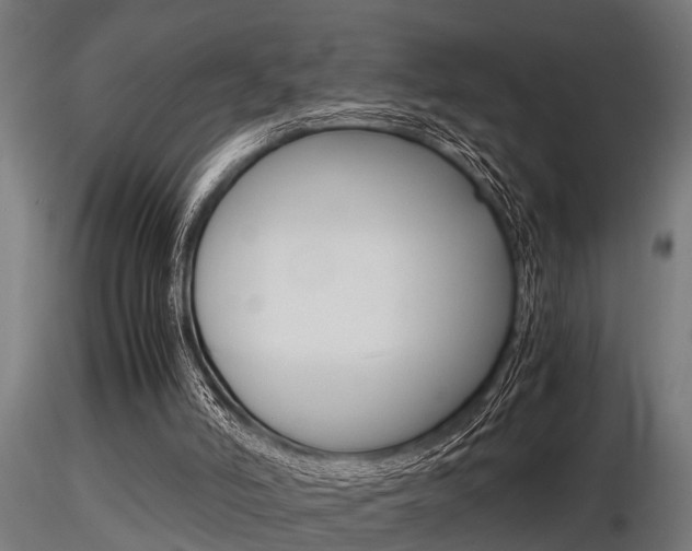 X0000116460006200912090938