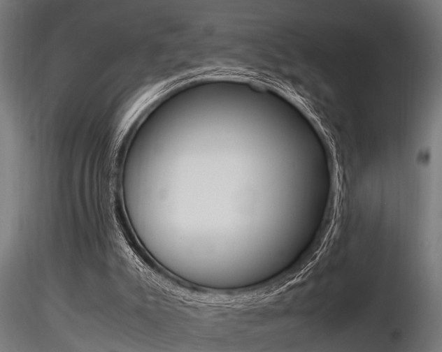 X0000116460007200912090938