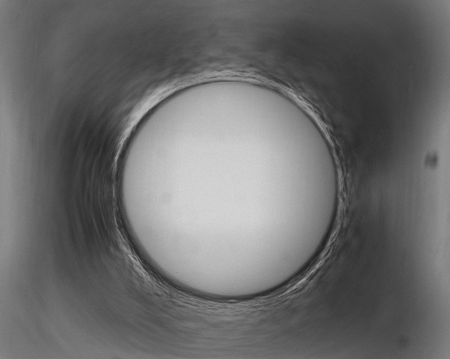 X0000116460008200912090938
