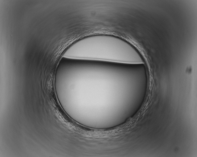 X0000116460009200912090938
