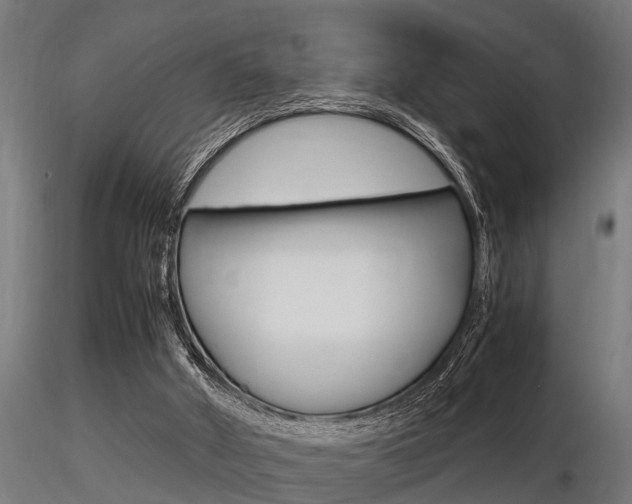 X0000116460010200912090938