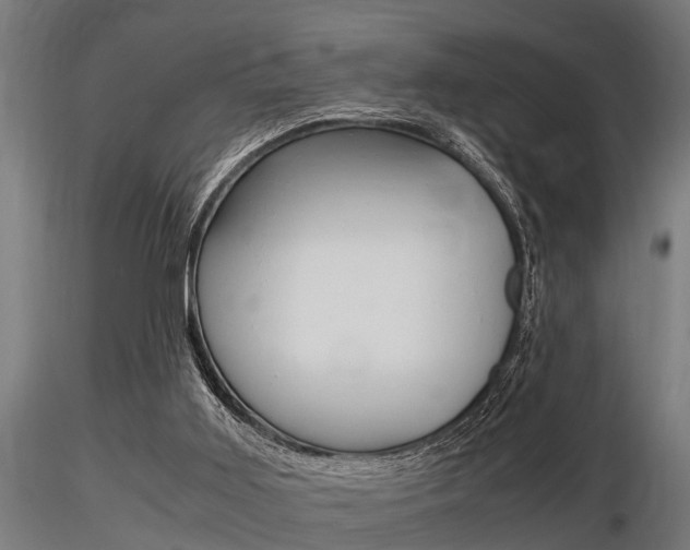 X0000116460011200912090938