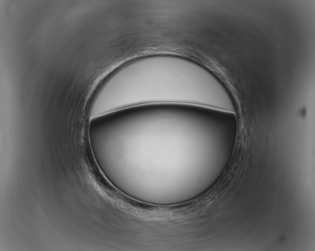 X0000116460012200912090938