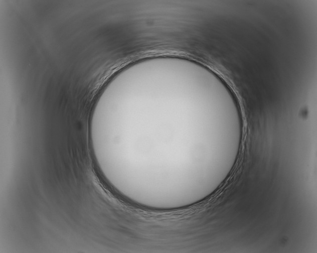 X0000116460013200912090938