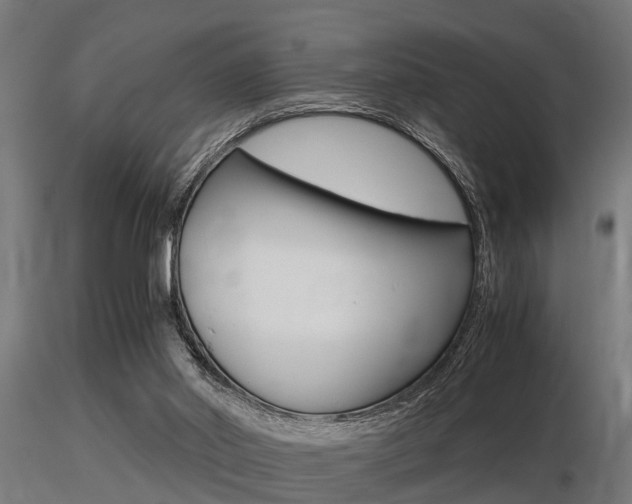 X0000116460014200912090938