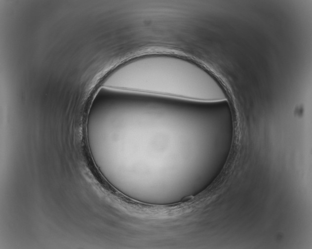 X0000116460015200912090938