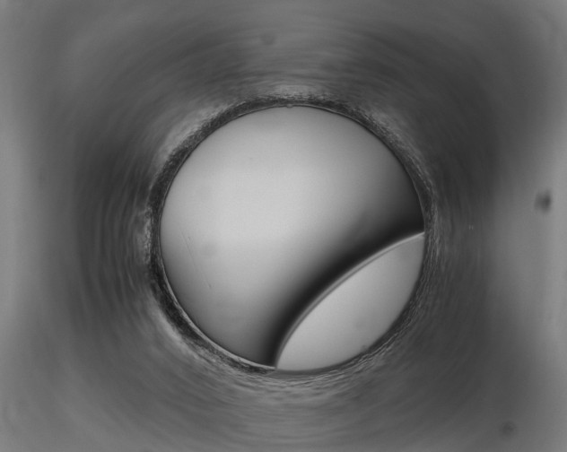 X0000116460016200912090938