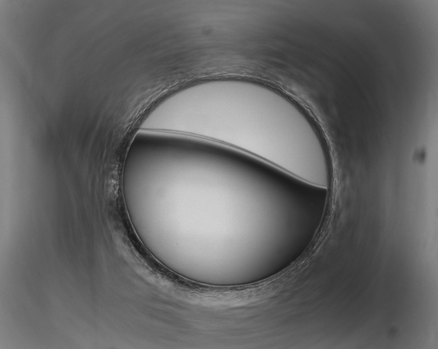 X0000116460017200912090938
