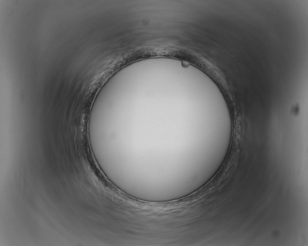 X0000116460018200912090938