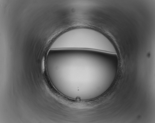 X0000116460020200912090938