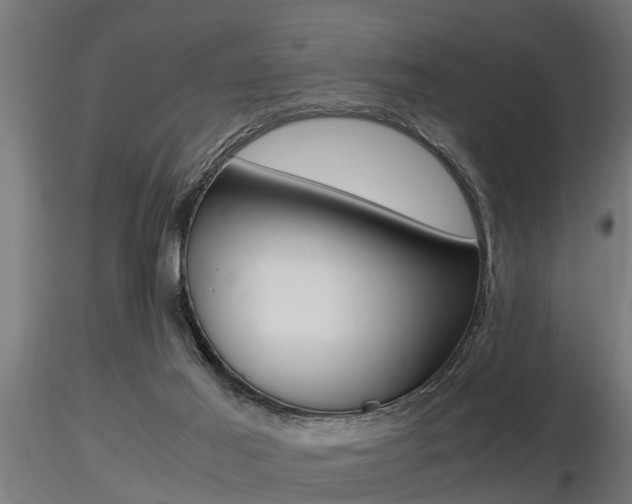 X0000116460021200912090938