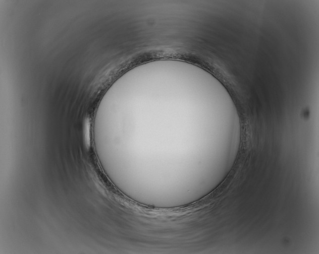 X0000116460022200912090938