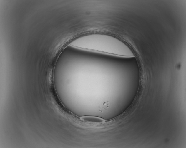 X0000116460023200912090938