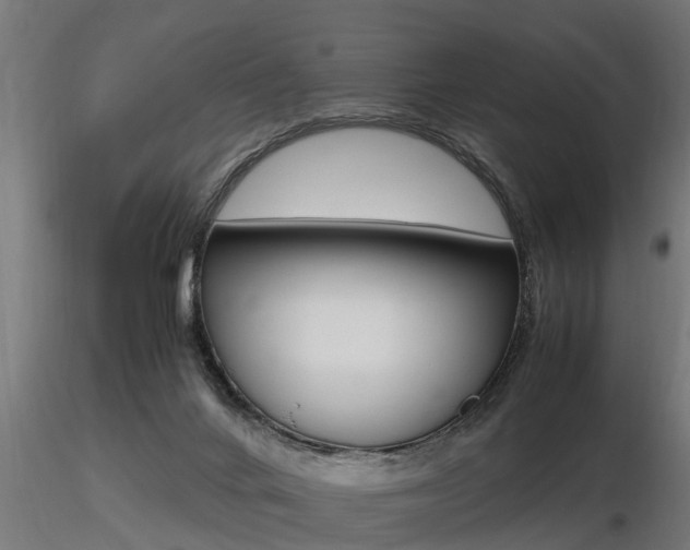 X0000116460024200912090938