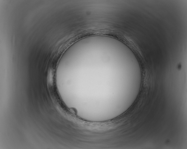 X0000116460026200912090938