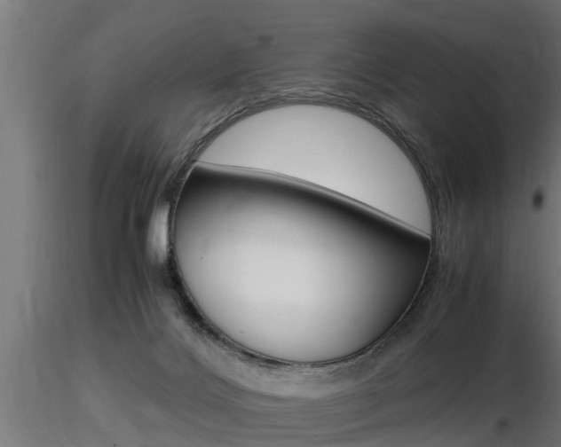 X0000116460028200912090938