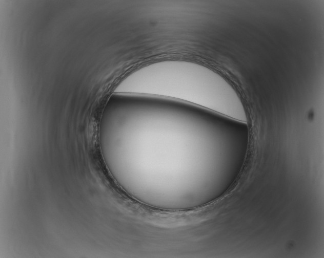X0000116460029200912090938