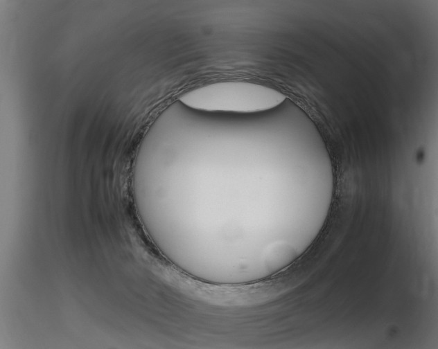 X0000116460030200912090938