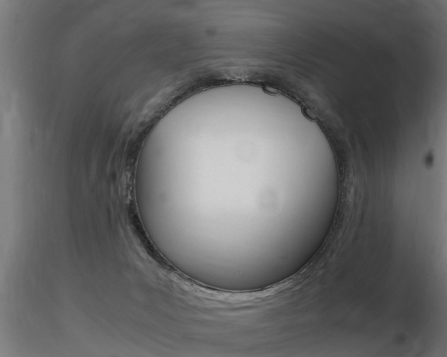X0000116460031200912090938