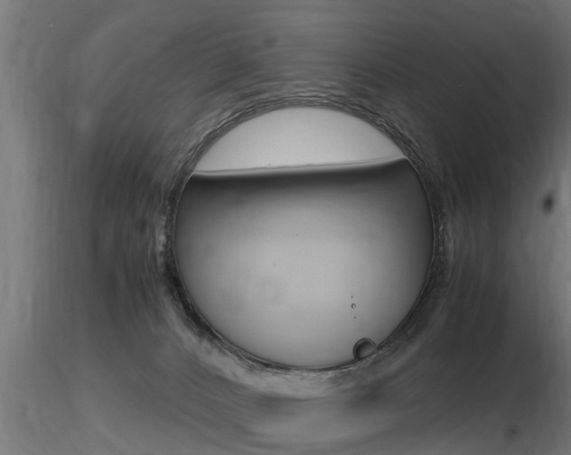 X0000116460032200912090938