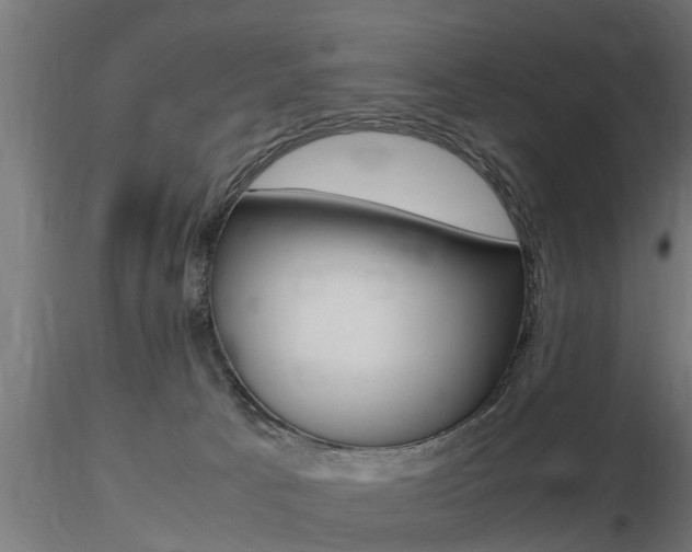 X0000116460033200912090938