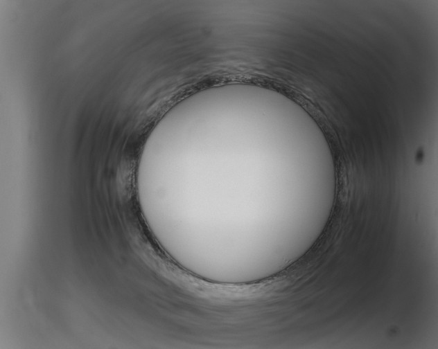 X0000116460034200912090937