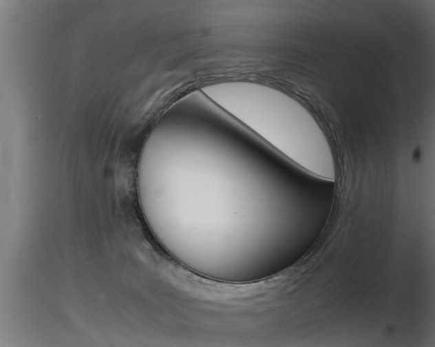 X0000116460035200912090937