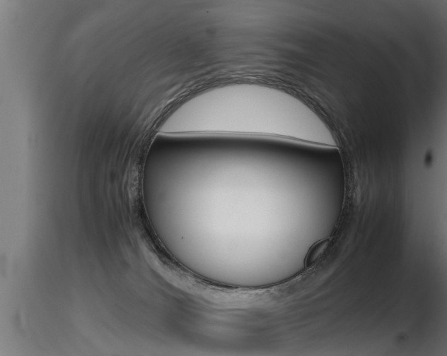 X0000116460036200912090937