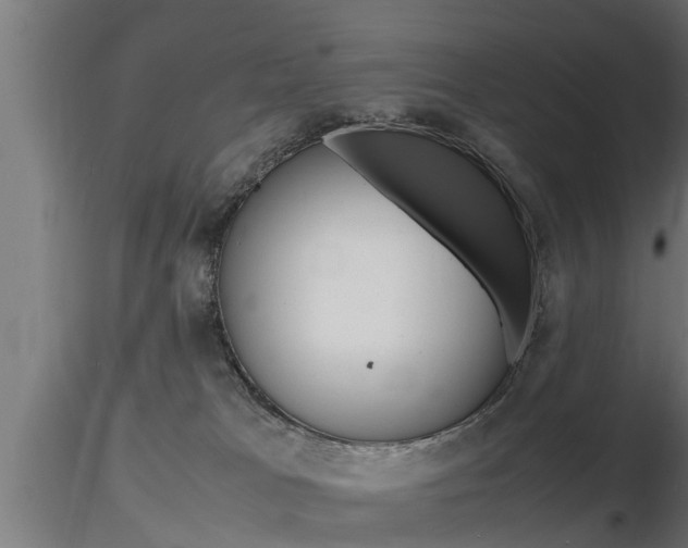 X0000116460037200912090937