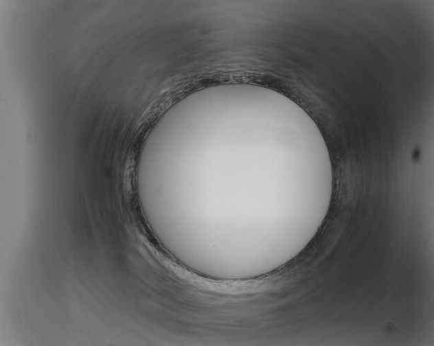 X0000116460038200912090937
