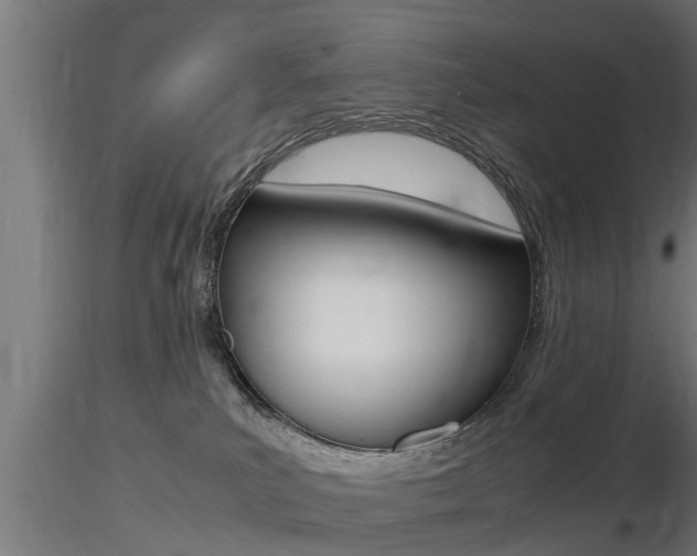 X0000116460039200912090937