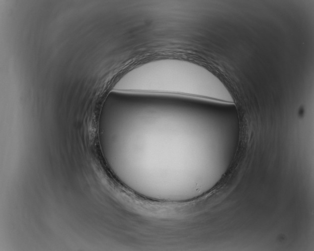 X0000116460040200912090937