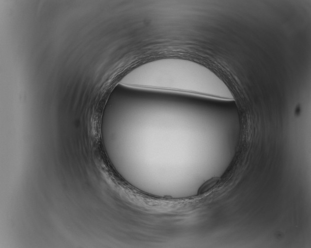 X0000116460044200912090937