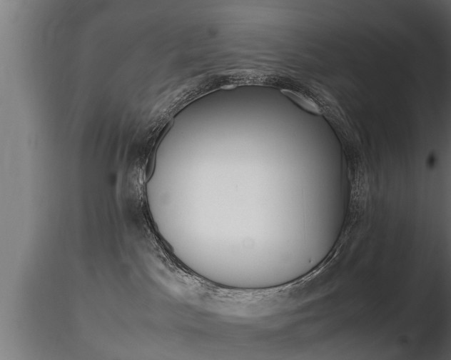 X0000116460045200912090937