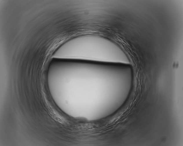 X0000116460049200912090936