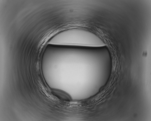 X0000116460050200912090936