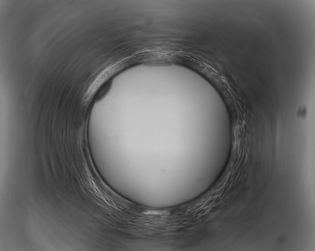 X0000116460051200912090937