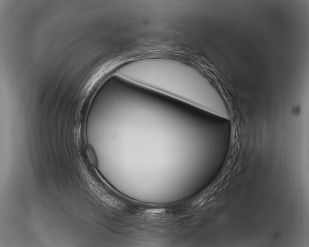 X0000116460054200912090937