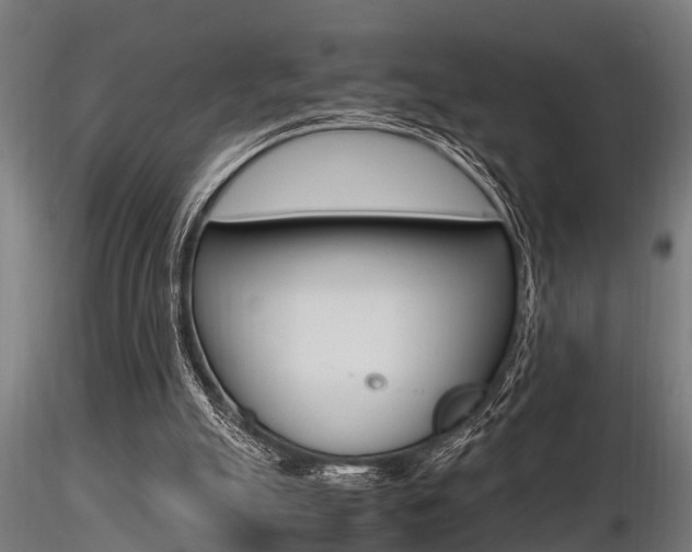 X0000116460055200912090937