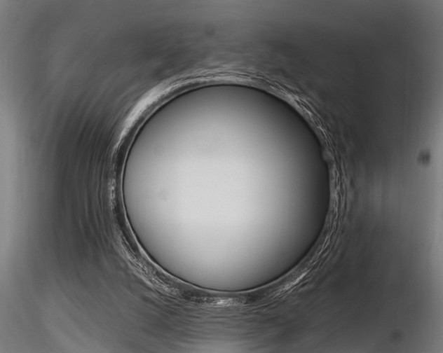 X0000116460056200912090937