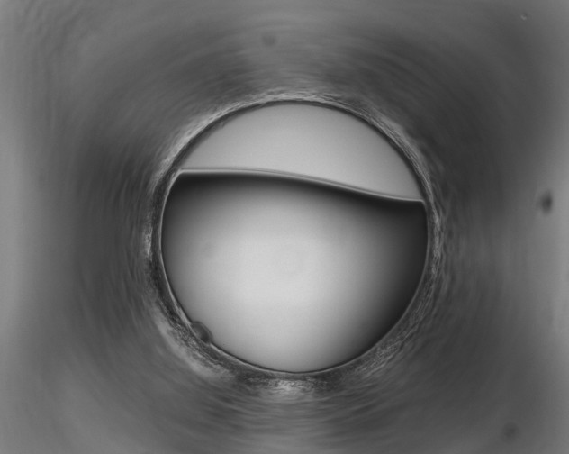 X0000116460060200912090937