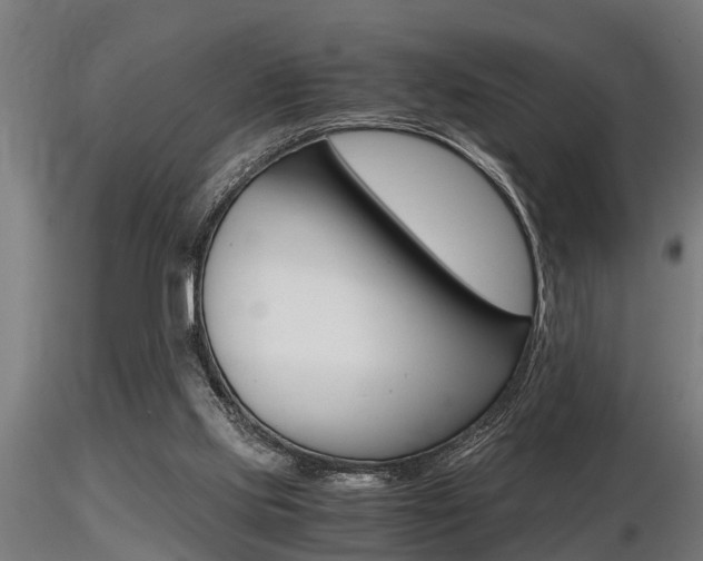 X0000116460061200912090937